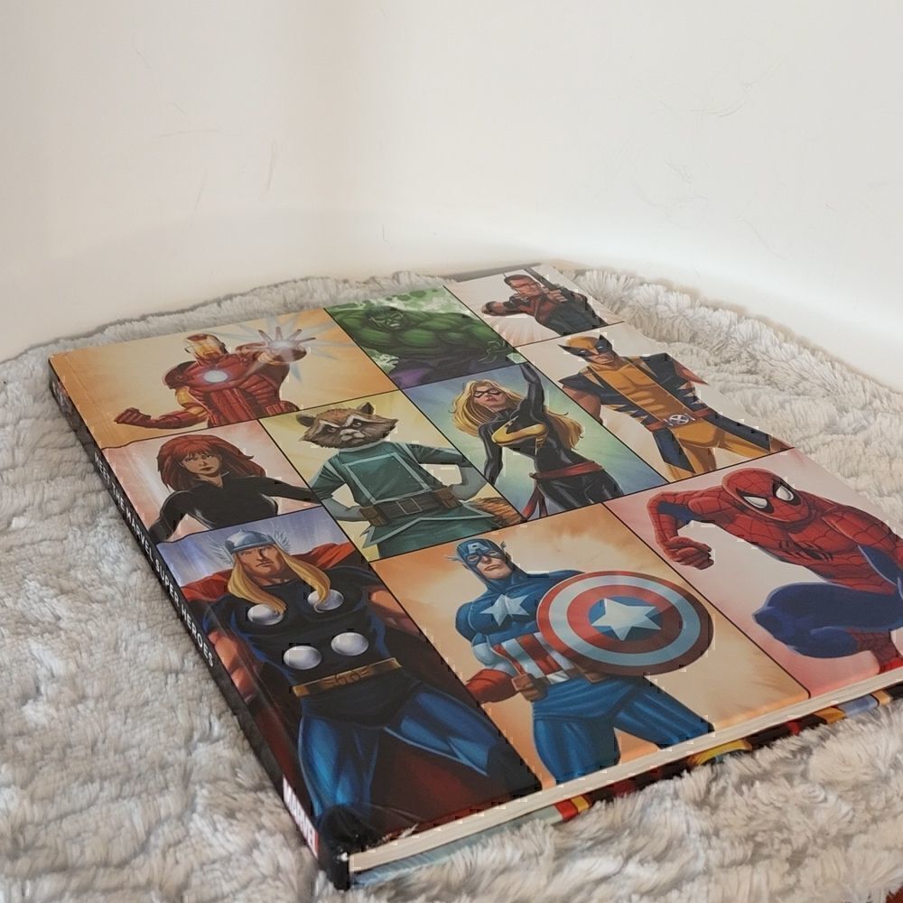 Marvel: Meet The Marvel Super Heros Book